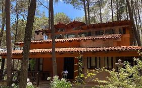 Cabana Rustica A 1Km De Cascada