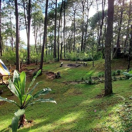Cabana Rustica A 1Km De Cascada Mazamitla Exterior photo