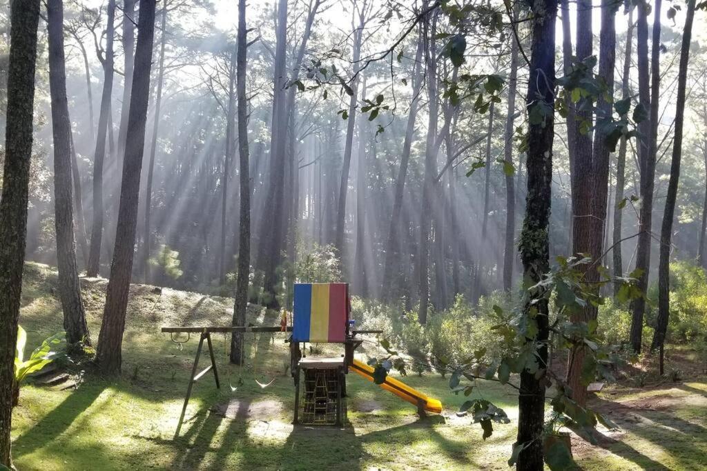 Cabana Rustica A 1Km De Cascada Mazamitla Exterior photo